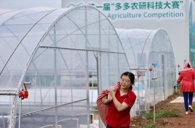 农业开始裂变！从黑龙江到云南，一张大网兜起中国端紧饭碗的底气