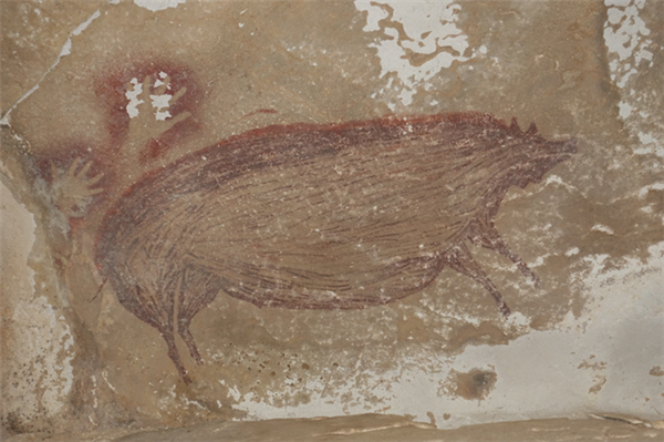 印尼发现已知世界最古老洞穴壁画：4万多年前的野猪