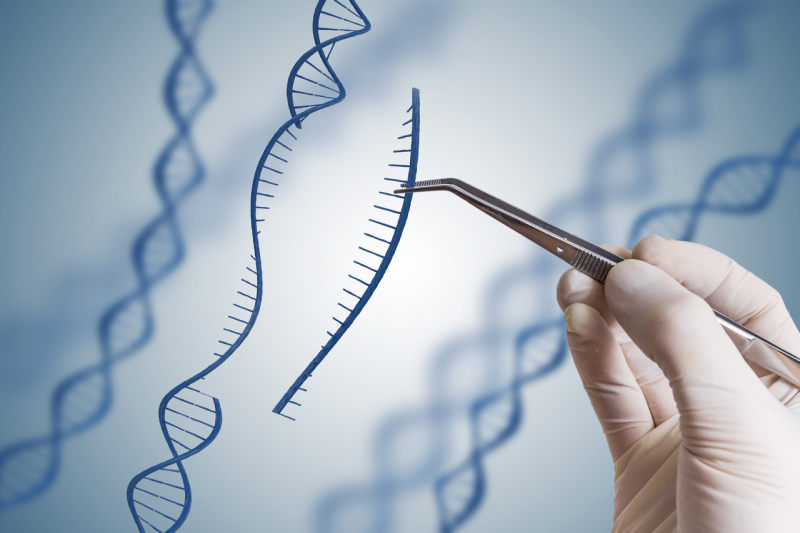 国内首个基因编辑疗法IND获批，博雅辑因即将开展I期临床