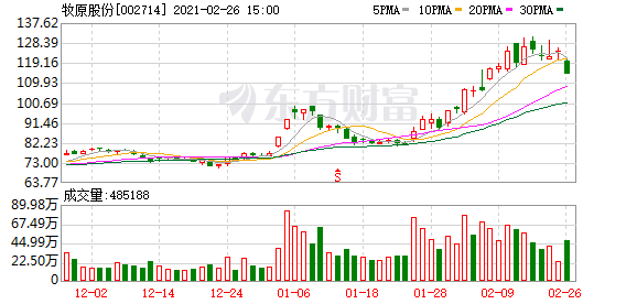 牧原股份跌8.65% 长江证券昨日刚发研报重点推荐