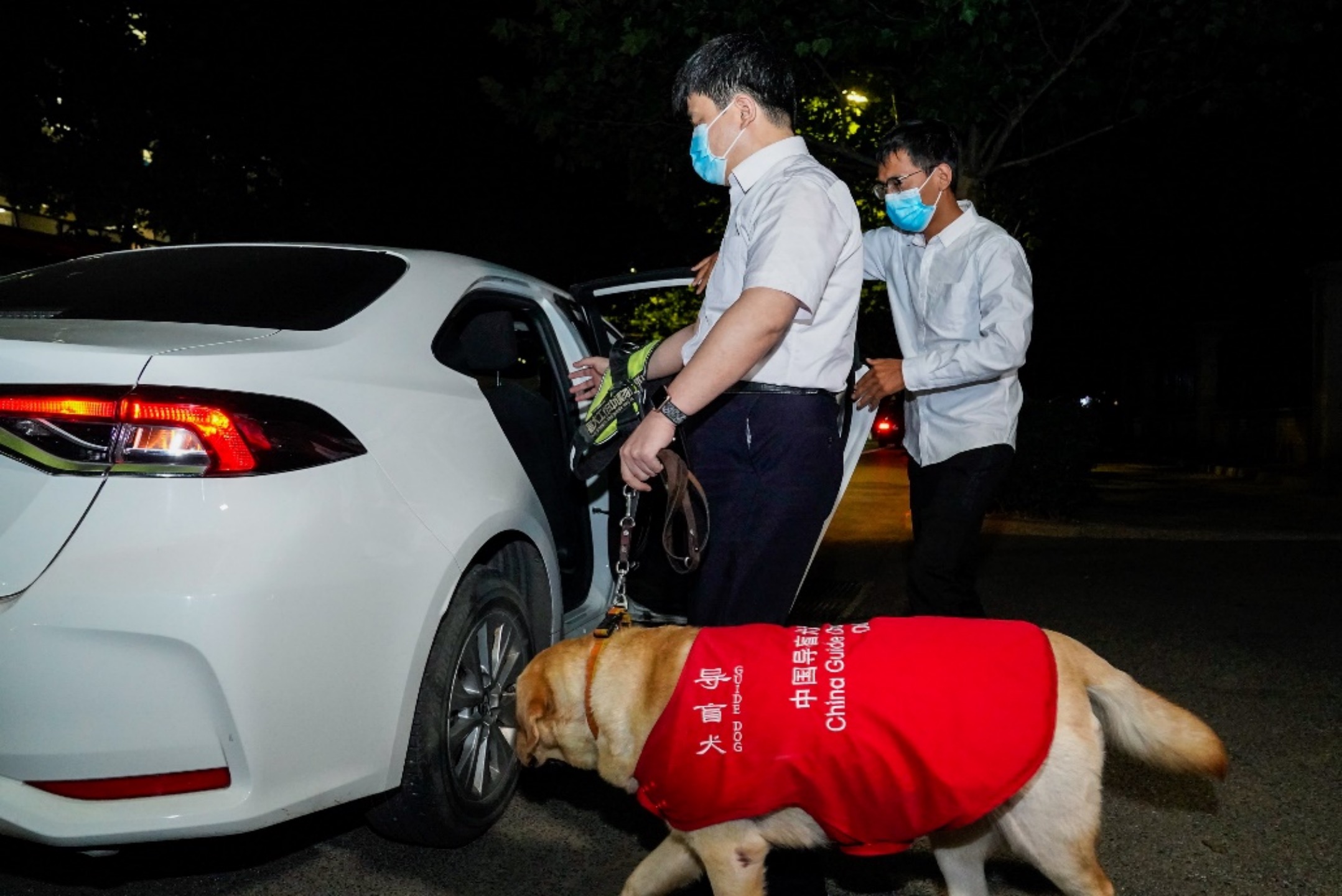 滴滴宣布与中国盲协签订战略协议 盲人用户可携带导盲犬乘车