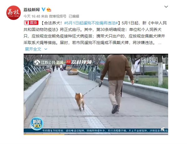 5月1日起遛狗不拴绳违法：养犬管理力度加大、处罚越来越重