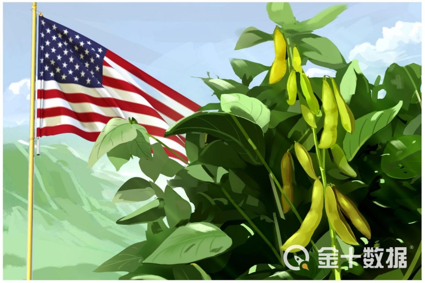 美国抢走巴西生意，包揽中国92％进口大豆订单！国产豆也迎利好