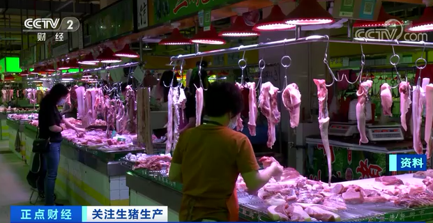 猪肉价格连降15周！一公斤便宜了20元！存栏量“19连涨” 养猪还赚钱吗？