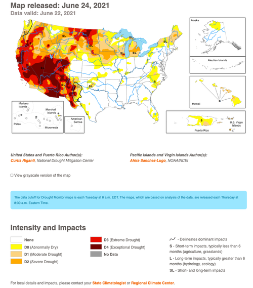 美国西部历史性干旱恐引发另一恐怖威胁：蝗灾
