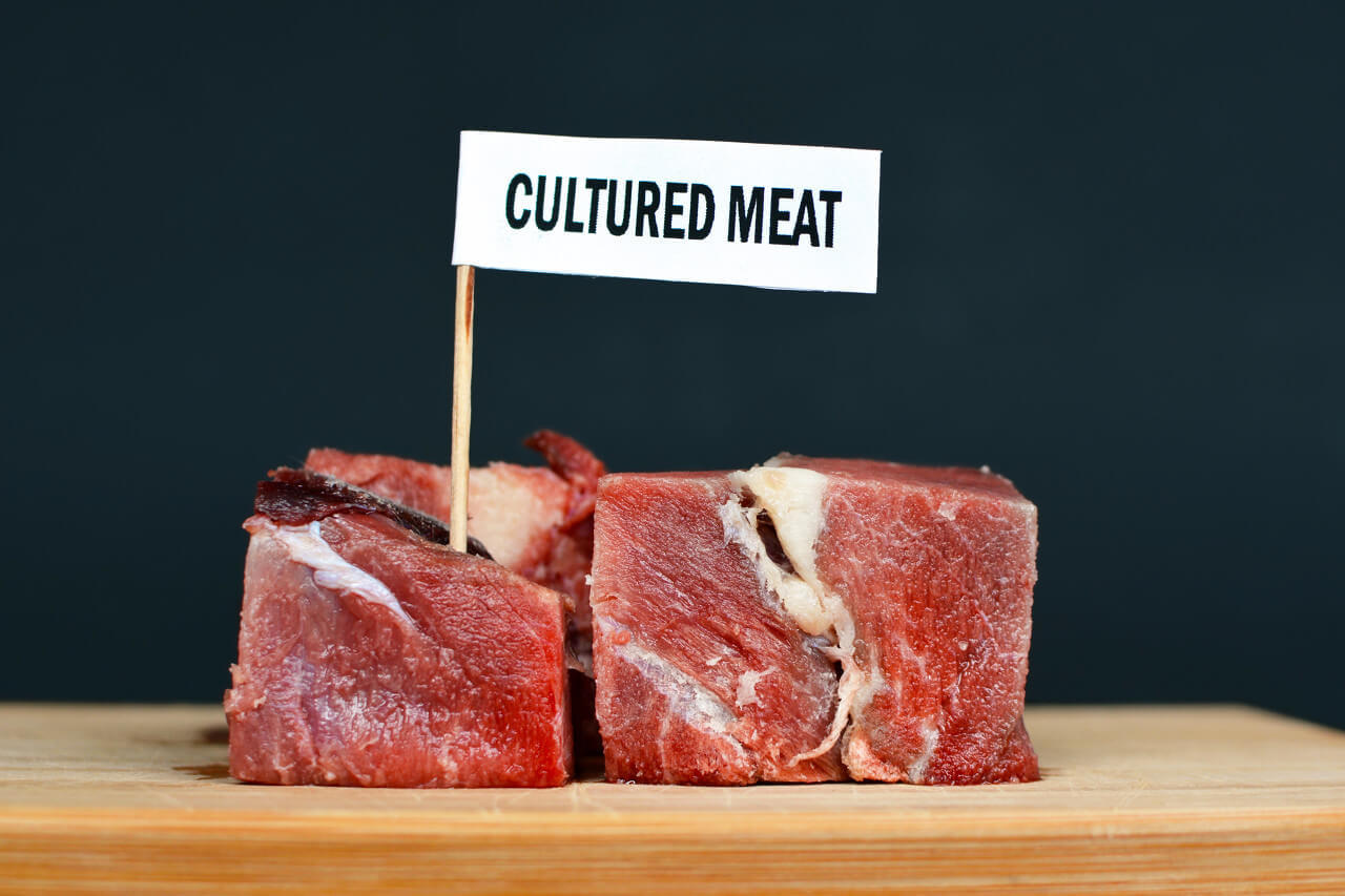 蛋白质的革命：为什么我们需要关注人造肉？