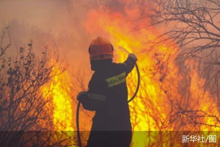 希腊首都北部发生山火致数千人撤离