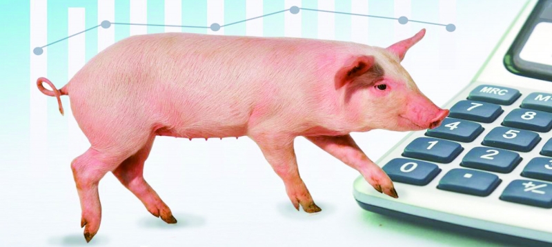 两猪企披露7月数据温氏股份肉猪销量上升