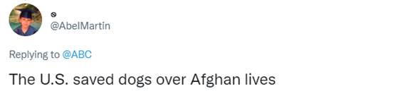 “你们比狗卑微”！军犬与美军同撤离，想离开的阿富汗人却苦苦挣扎，网友怒了！