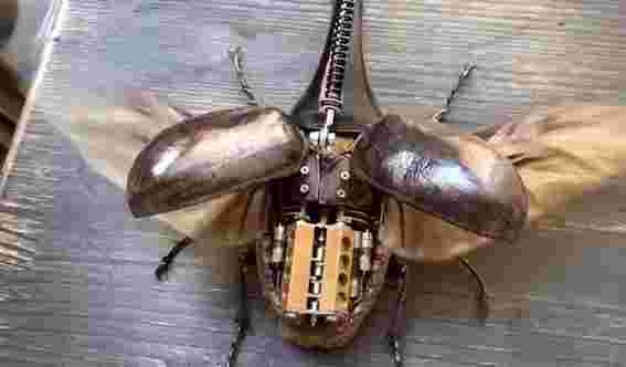 小伙用昆虫标本造出微型八缸发动机蒸汽甲虫 网友：仿佛活物