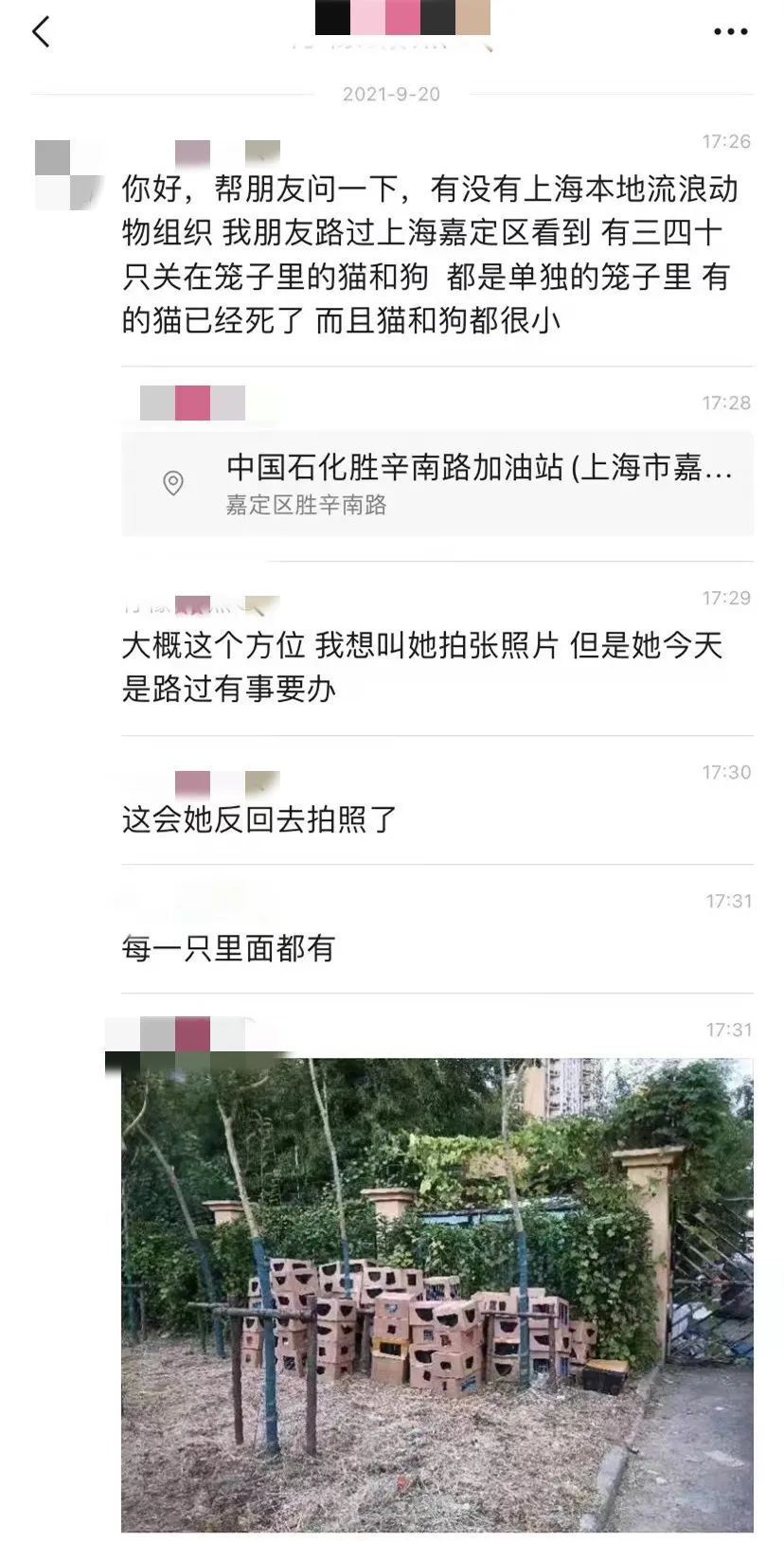 上海惊现被遗弃宠物盲盒 100多只猫狗奄奄一息！快递公司回应：已报警