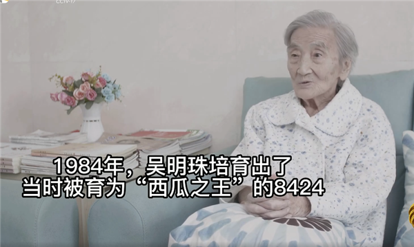 91岁瓜奶奶和袁隆平是同学 网友：谢谢你们让我们碗中粮满、盘中果香