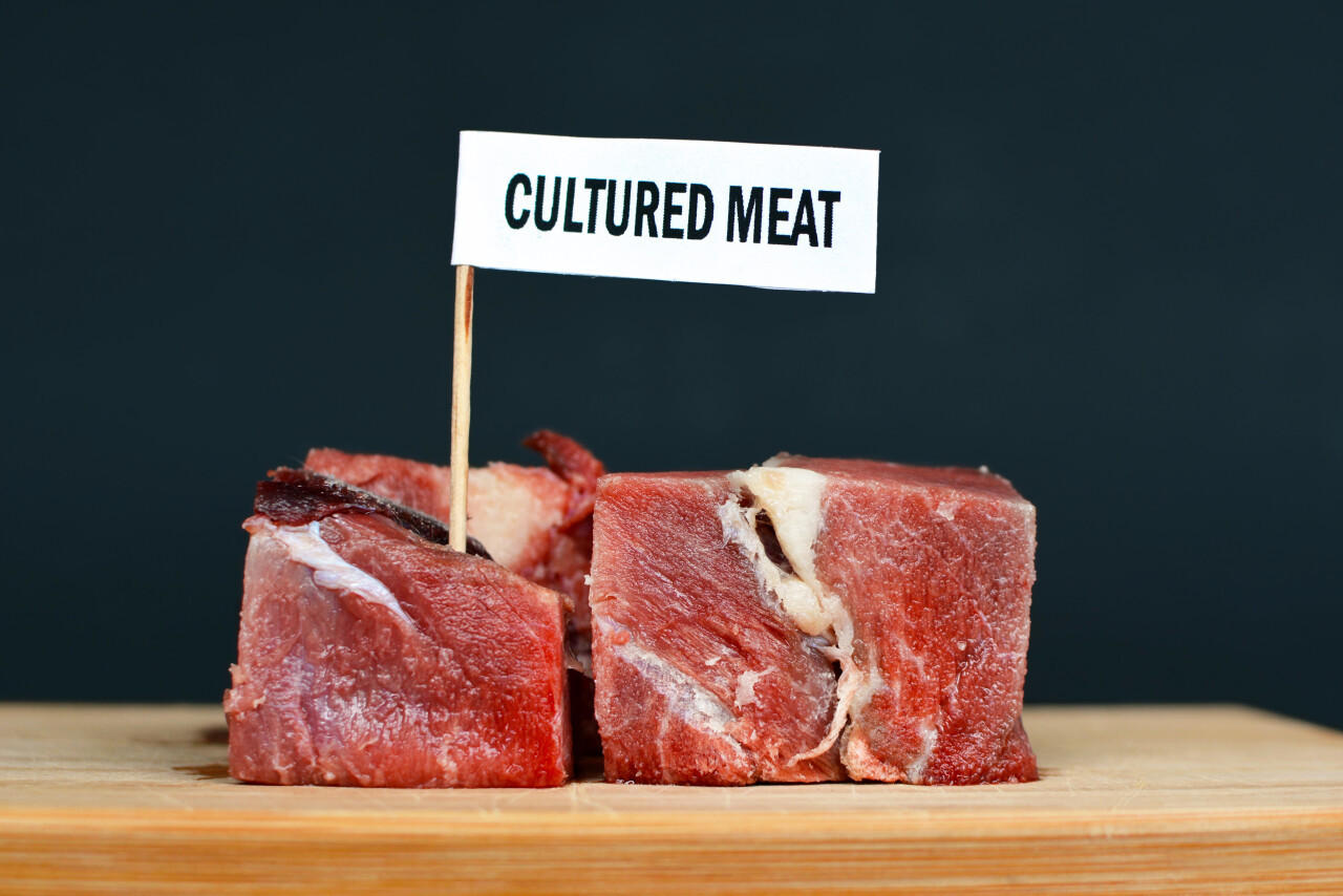 蛋白质战争：人造肉是下一个特斯拉？