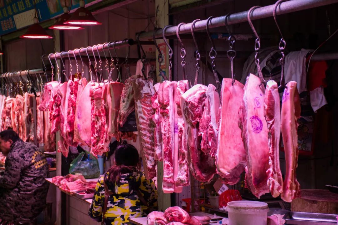大反弹，猪肉价一个月涨45%！会一路涨到过年吗？