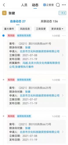 张若昀父亲张健累计被执行超2.8亿