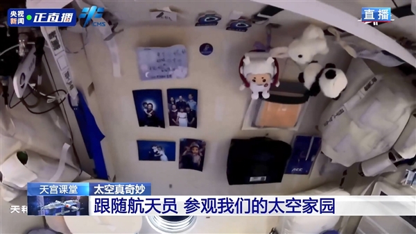暖心一幕：王亚平太空卧室贴满家人照片