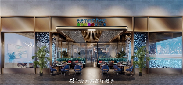 曝知名网红餐厅“新元素”破产清算：曾被评沪上最佳、蝉联10年杰出雇主