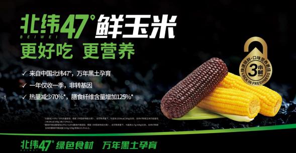 火爆俞敏洪直播间的北纬47度鲜玉米，藏着中国农业发展的未来