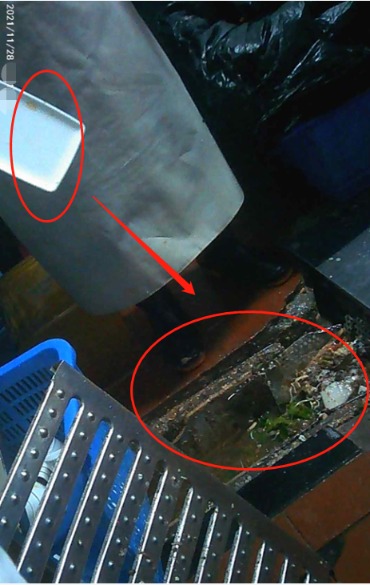 蟑螂、老鼠、垃圾桶上切西红柿 上海知名火锅店后厨让人看吐！监管部门出手了
