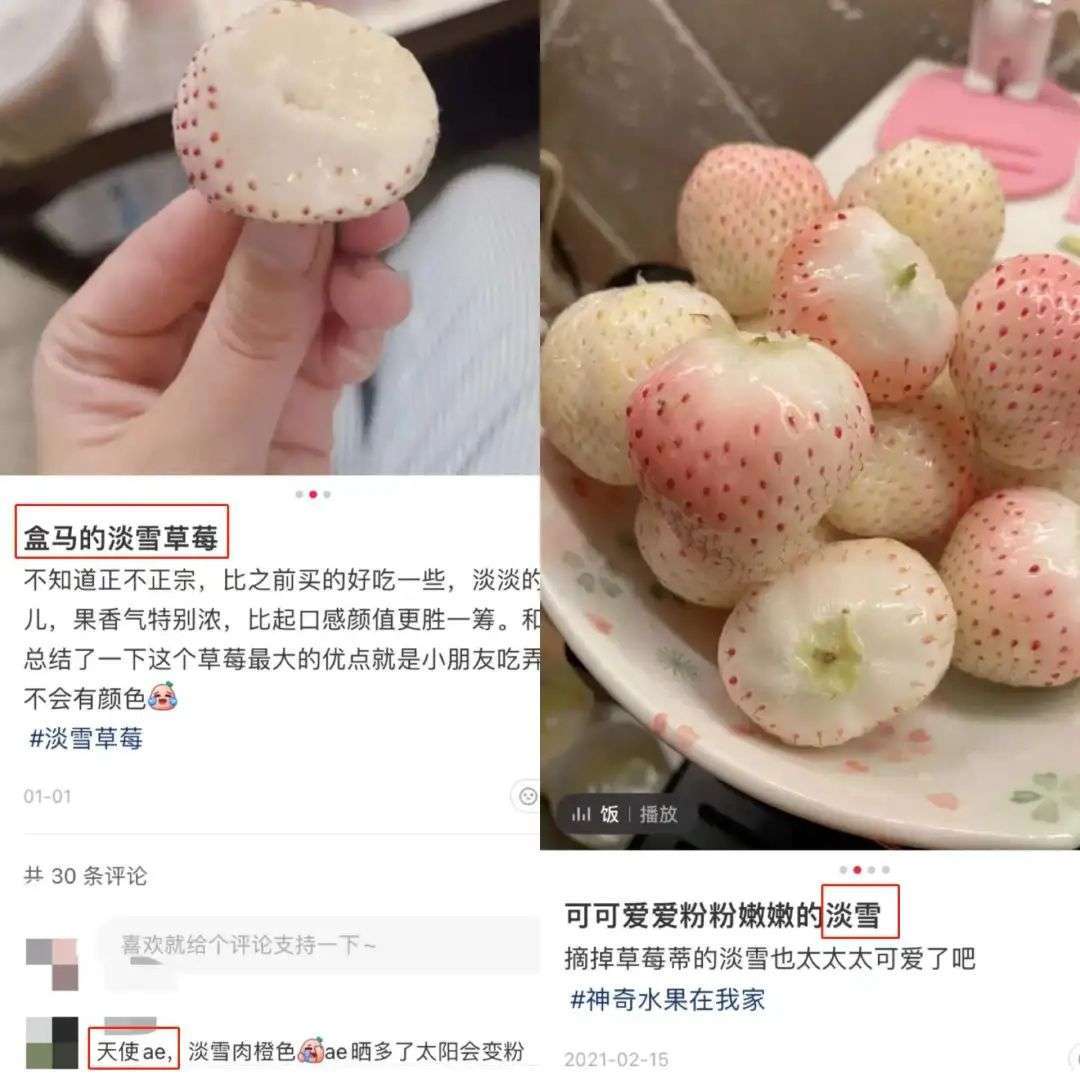 吃200元一斤的日本淡雪白草莓，就是财富自由？