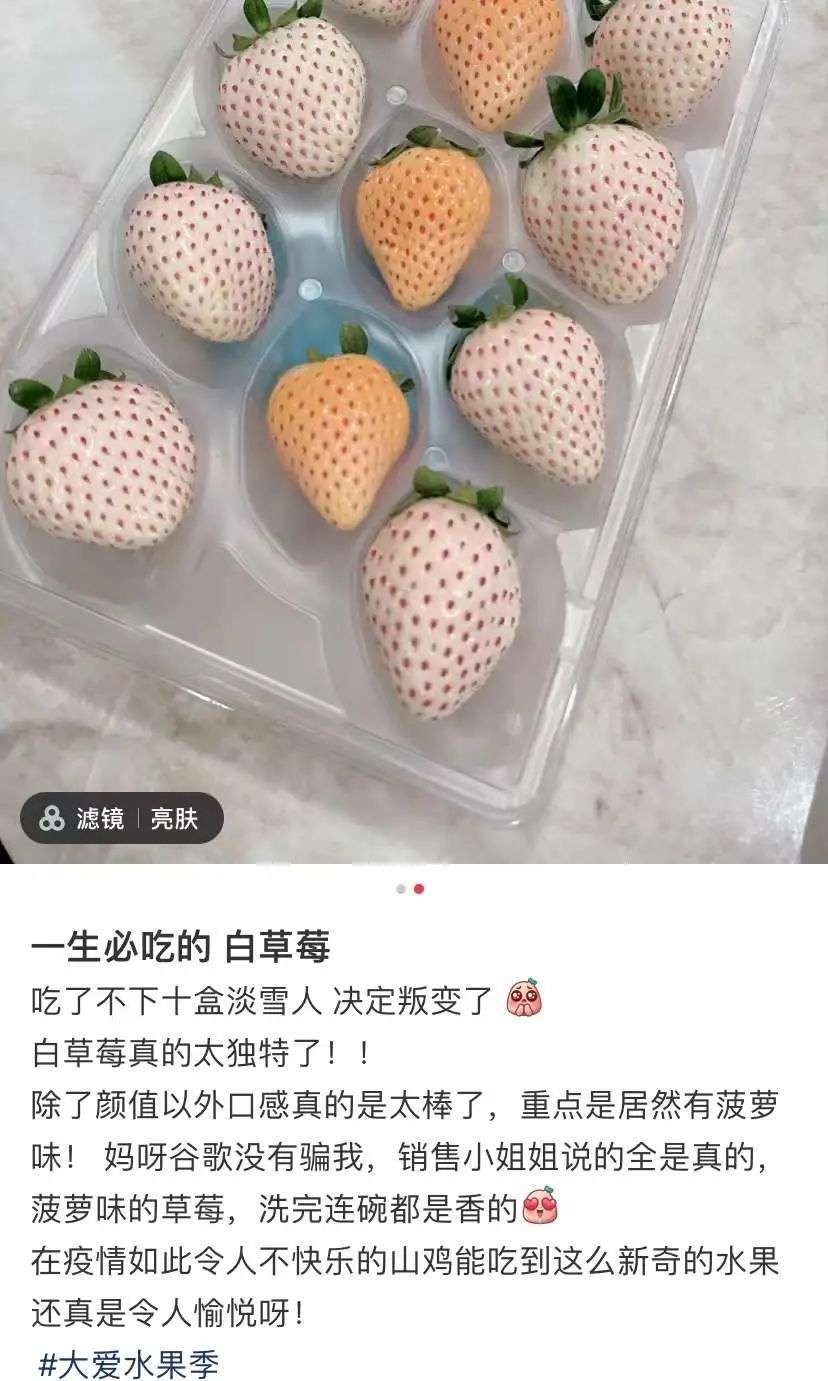 吃200元一斤的日本淡雪白草莓，就是财富自由？