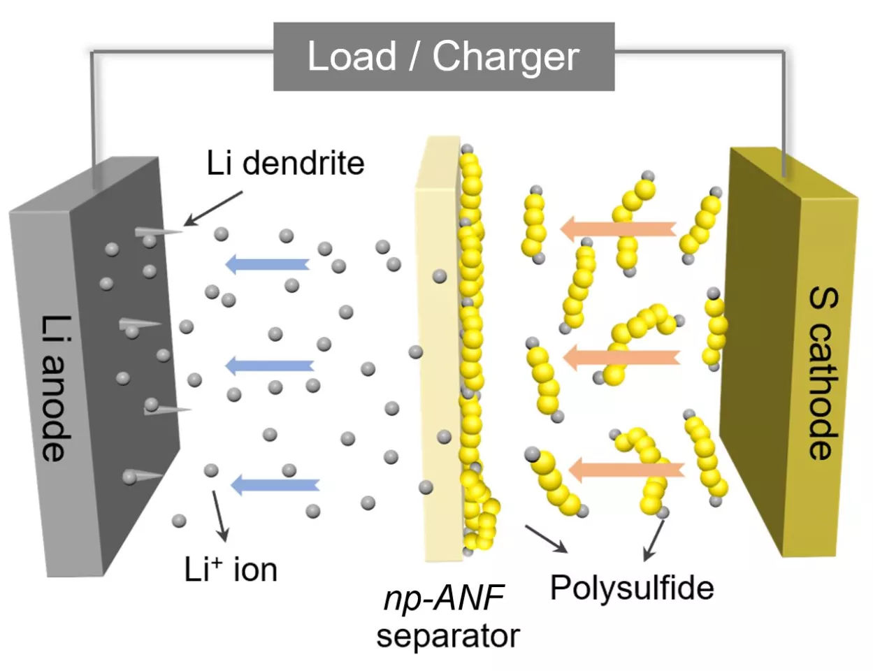 “纤维薄膜”帮助锂硫电池扫清一切障碍 容量5倍于锂离子电池