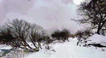 十分危险1云南一景区发生雪崩 游客边跑边拍