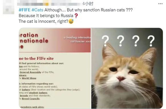 连俄罗斯的猫都被制裁 俄罗斯方块：我现在害怕极了