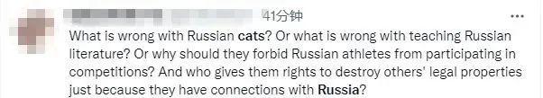 连俄罗斯的猫都被制裁 俄罗斯方块：我现在害怕极了