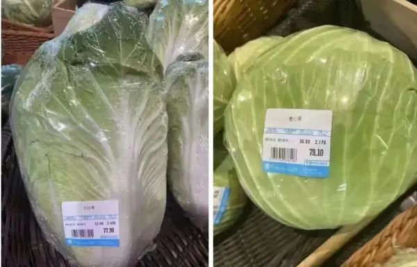 冲上热搜！一颗白菜卖78元！上海一家百货公司被顶格重罚