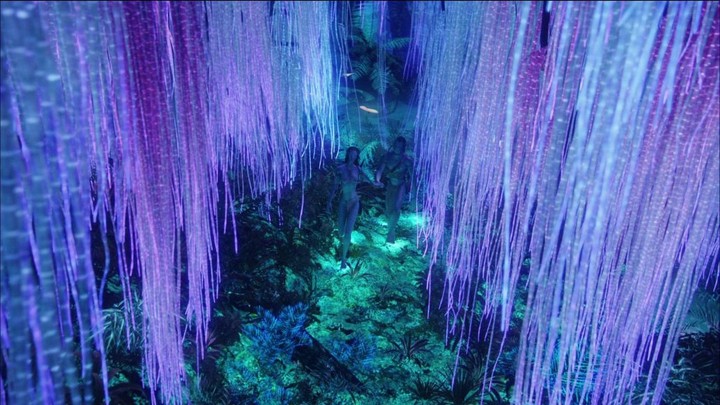 《阿凡达》里的「生物发光树」成真了！这个小镇的赛博路灯不简单