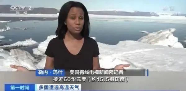 太热了！记者在北极穿短袖出镜 网友们担忧：北极熊怎么办？