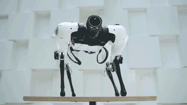 腾讯新一代机器狗Max亮相：梅花桩上如履平地 机器视觉显身手