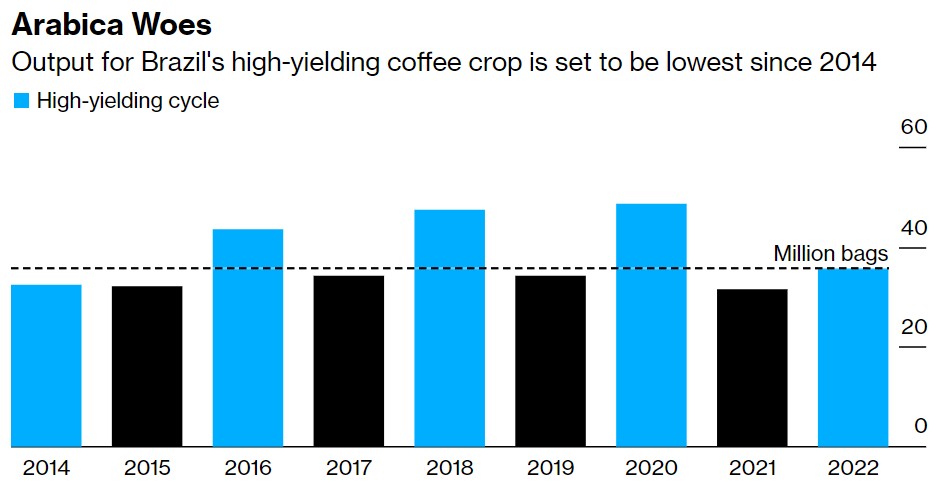 反常天气冲击巴西供应 世界顶级咖啡豆产量萎缩