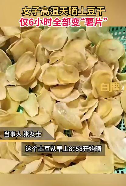 重庆女子晒土豆片 六个小时变“薯片” 网友：这才是空气炸锅！