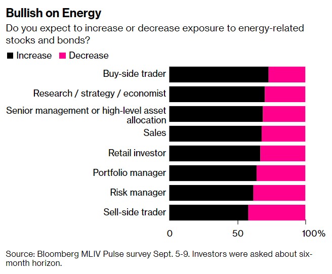 MLIV调查：燃料短缺阴霾不散 投资持续看好能源股债