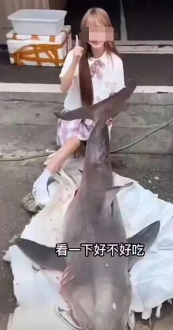 网红烹饪“大白鲨”事件最新进展！涉事渔民及转卖者2人被批捕