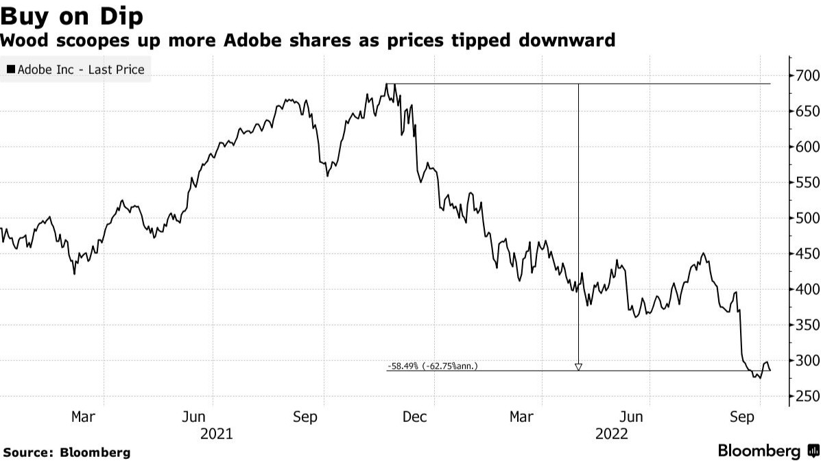 Adobe(ADBE.US)遭市场抛售之际 木头姐再度买入超2万股