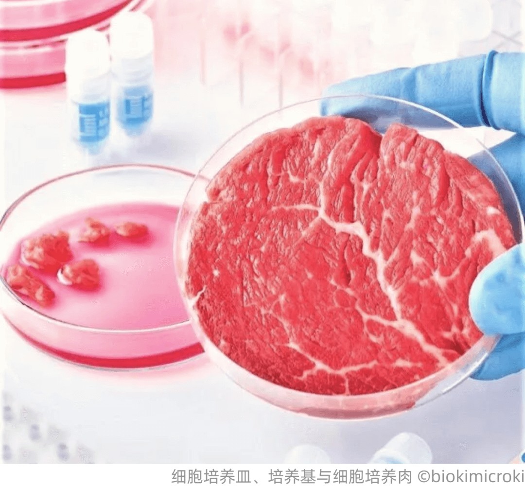 当我们投资细胞培养肉时，我们在投资什么？