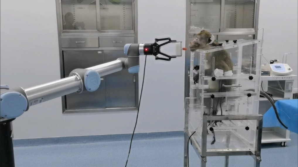 全球首例，南开大学完成介入式脑机接口非人灵长类动物试验